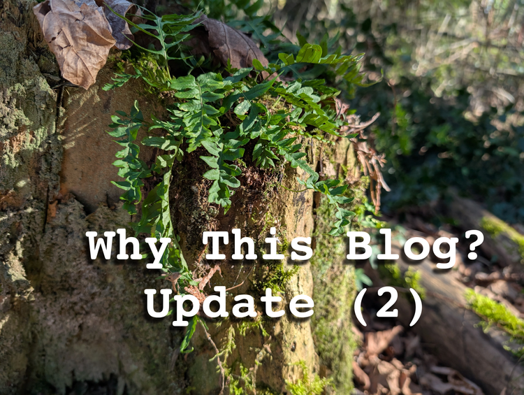 Why This Blog-Update 2