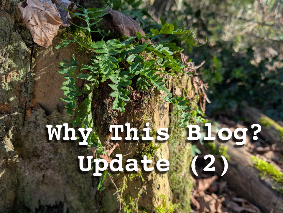 Why This Blog-Update 2